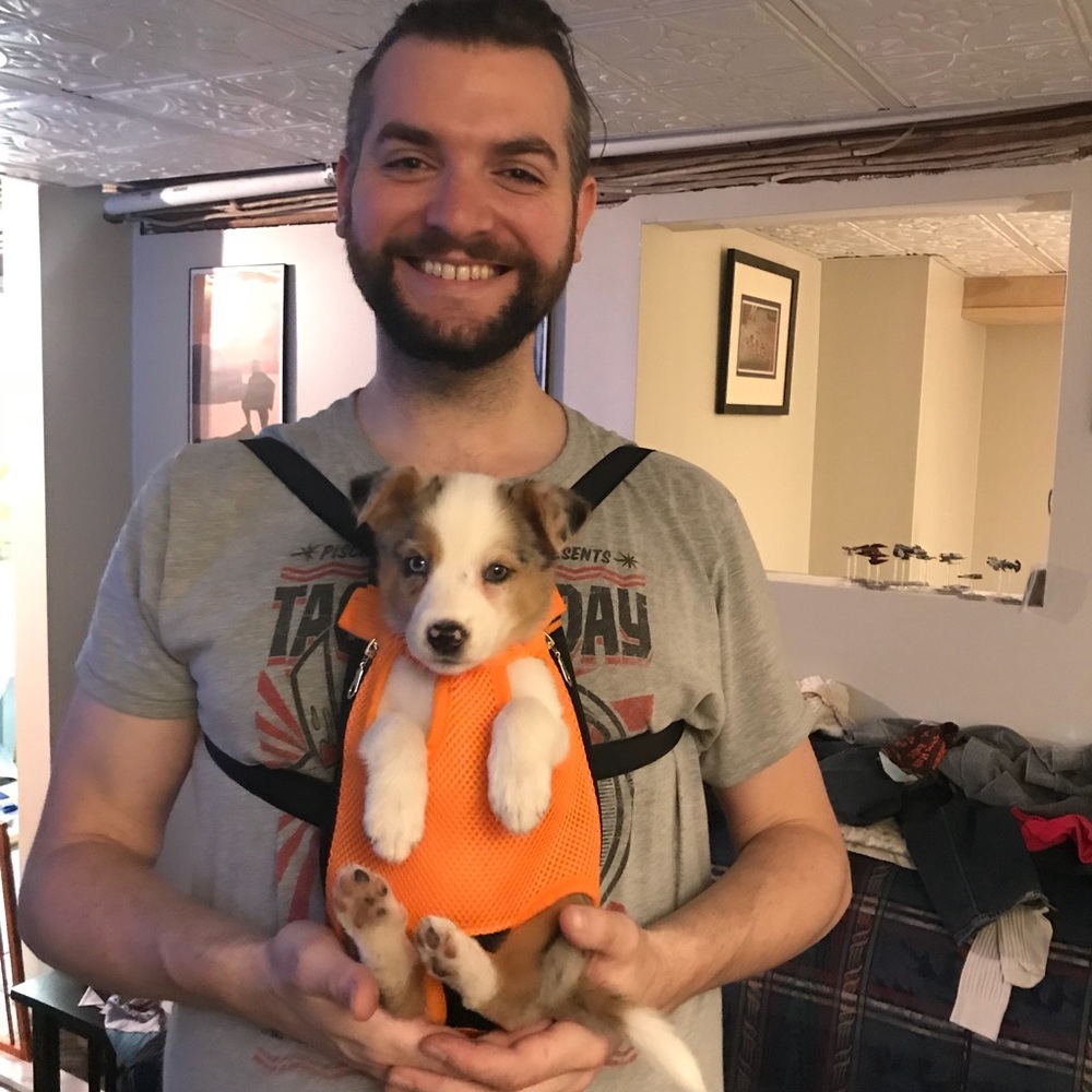Pawaboo pet carrier back pack pouch